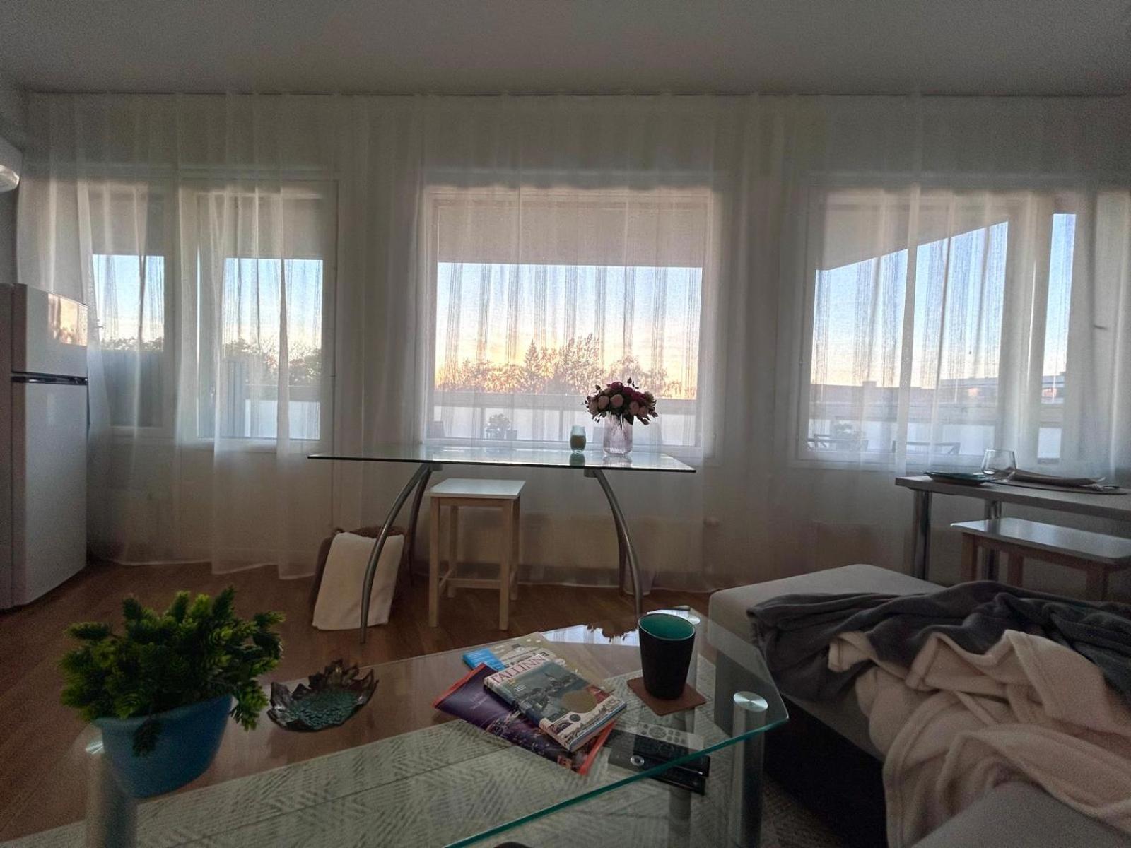 Stella'S Apartment - City Center - Free Secure Parking - Big Sun Terrace - Air Conditioning - Wifi - Tram To The Tallinn Bus Station And Old Town Luaran gambar